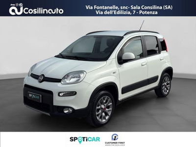 Fiat Panda 1.3 MJT 95 CV S&amp;S 4x4 del 2017 usata a Sala Consilina