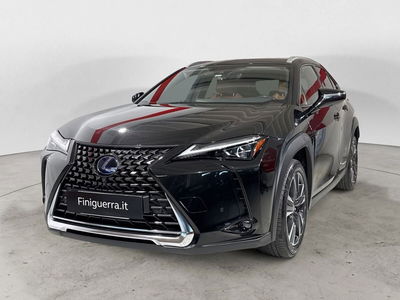 Lexus UX Hybrid 4WD Luxury del 2019 usata a Poggiridenti
