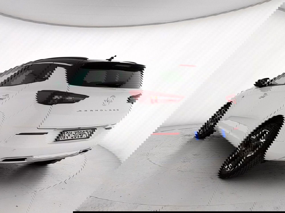 Opel Grandland usata a Caserta (4)