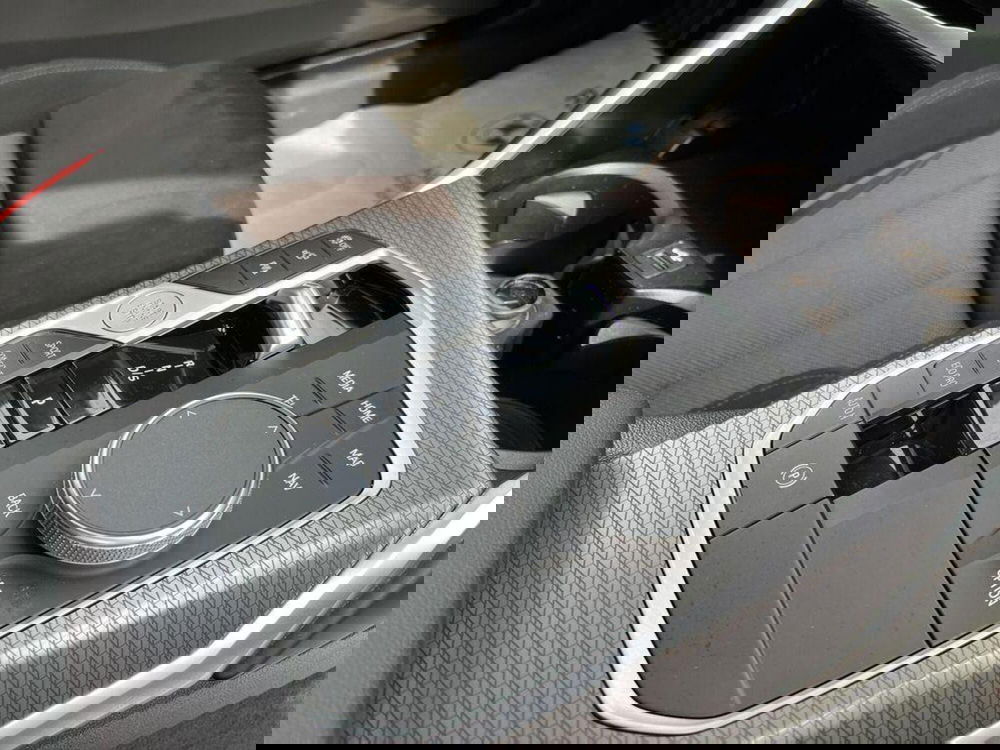 BMW Serie 3 usata a Alessandria (12)