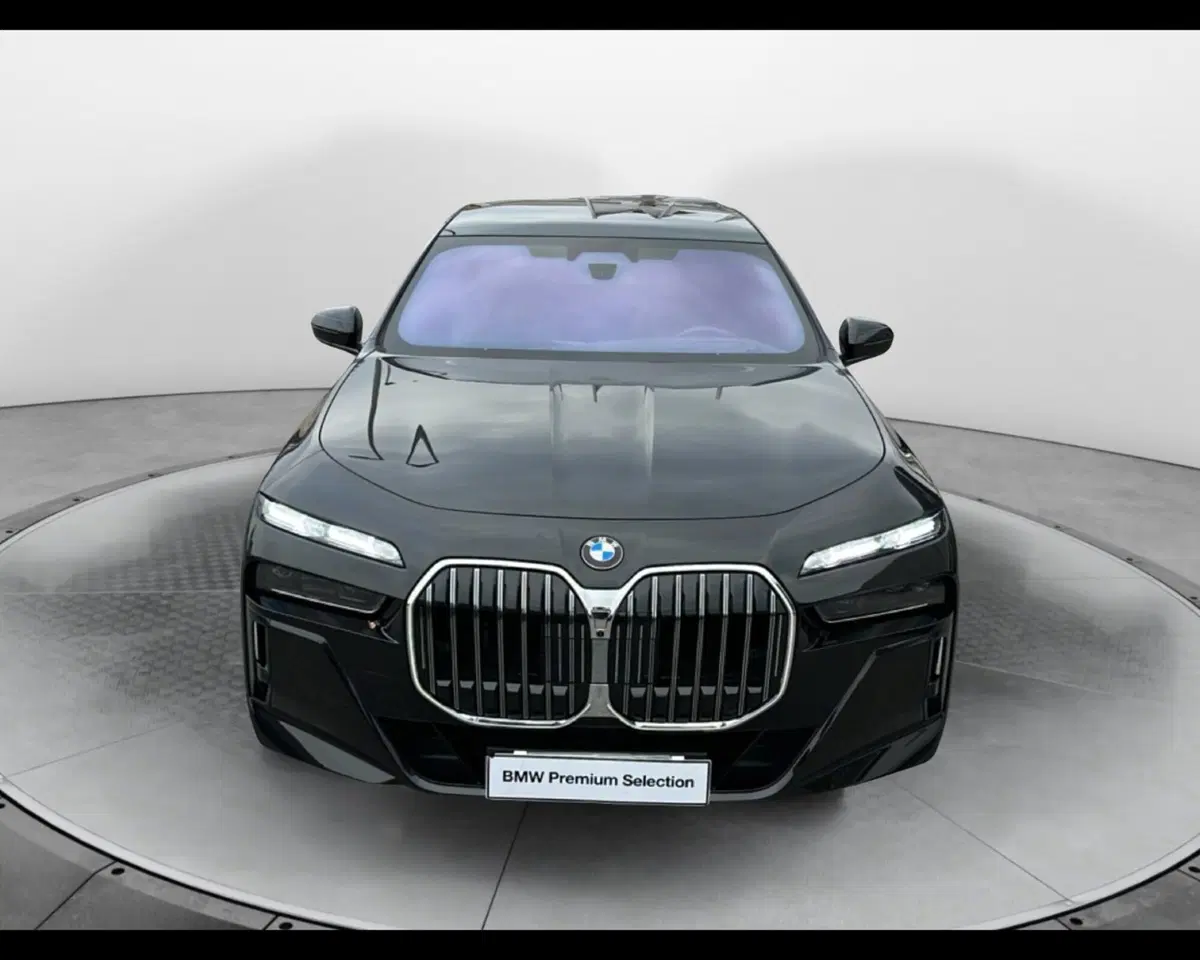 BMW Serie 7 usata a Caserta (3)