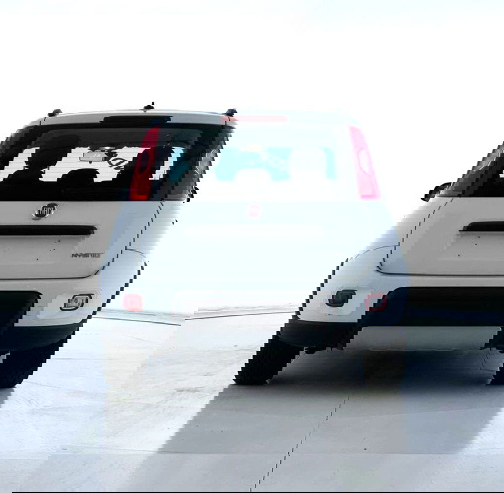 Fiat Panda Cross usata a Perugia (4)