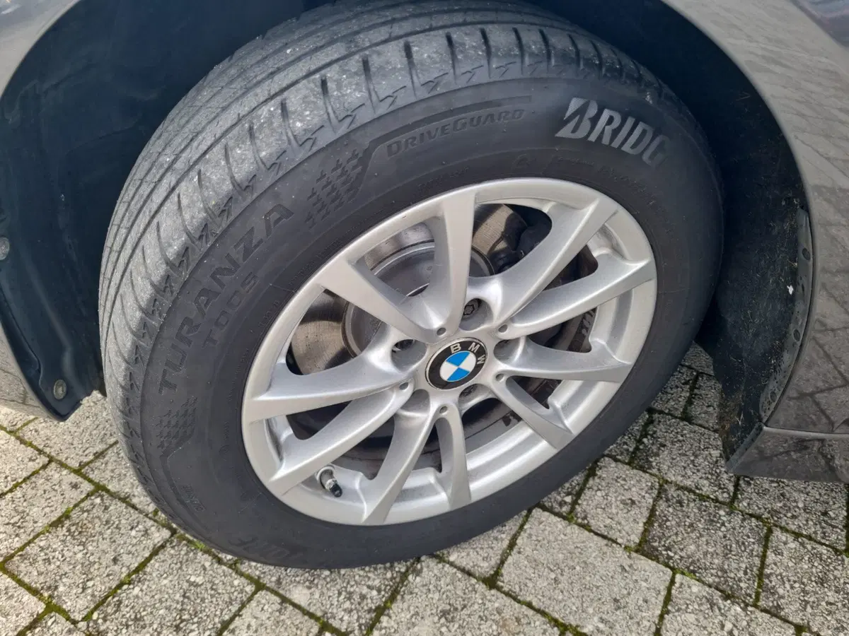 BMW Serie 3 usata a Lucca (19)