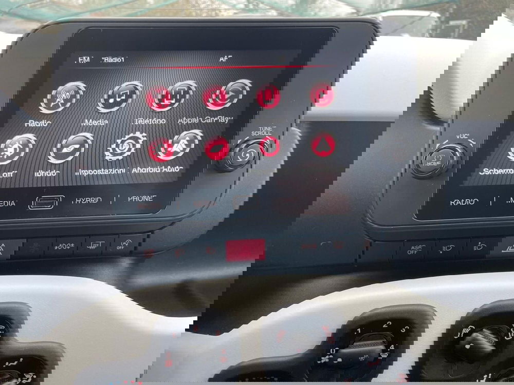 Fiat Panda Cross usata a Ancona (13)