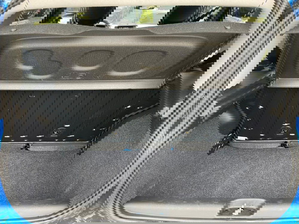 Fiat Panda Cross usata a Ancona (18)