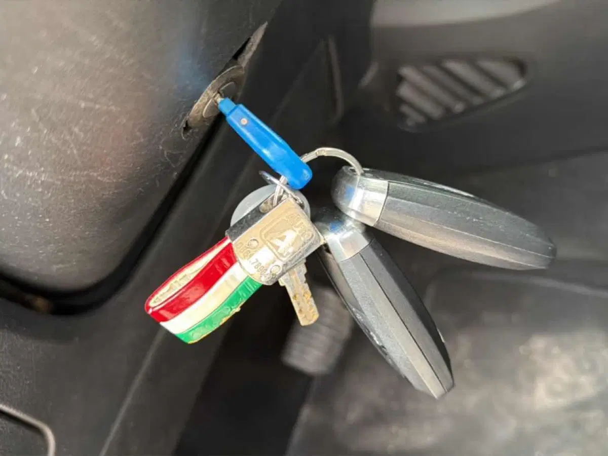 Ford S-Max usata a Foggia (16)