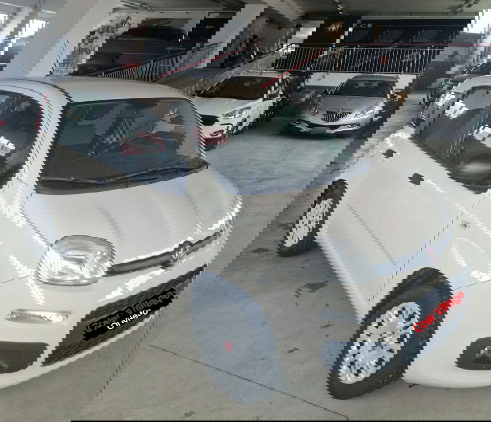 Fiat Panda usata a Terni
