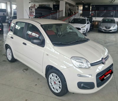 Fiat Panda 1.2 Easy del 2017 usata a Orvieto