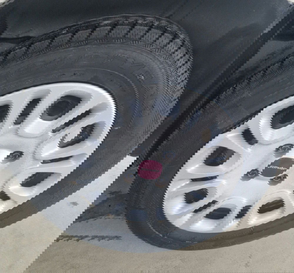 Fiat Panda usata a Terni (14)