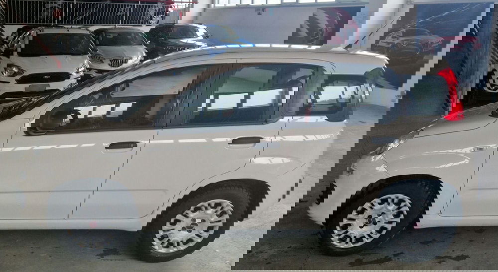 Fiat Panda usata a Terni (3)