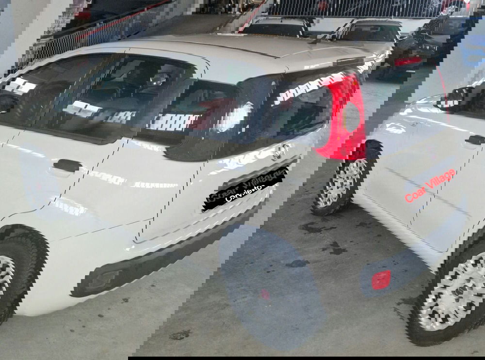 Fiat Panda usata a Terni (4)