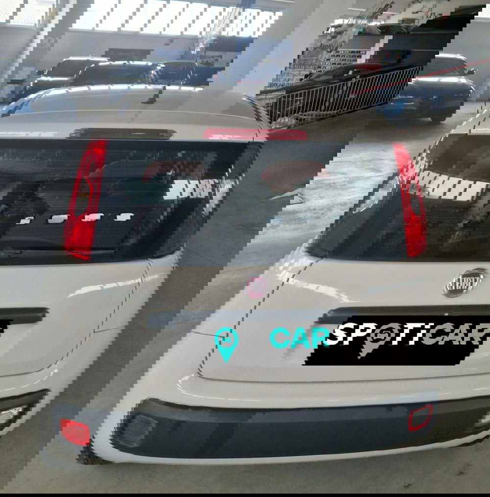 Fiat Panda usata a Terni (5)