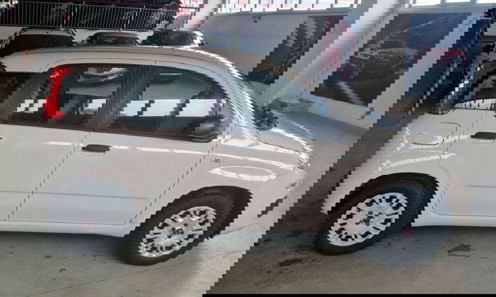 Fiat Panda usata a Terni (6)