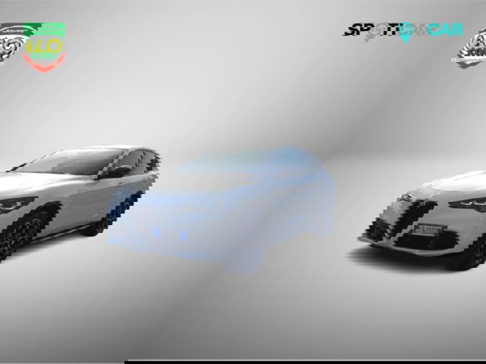 Alfa Romeo Stelvio usata a Frosinone