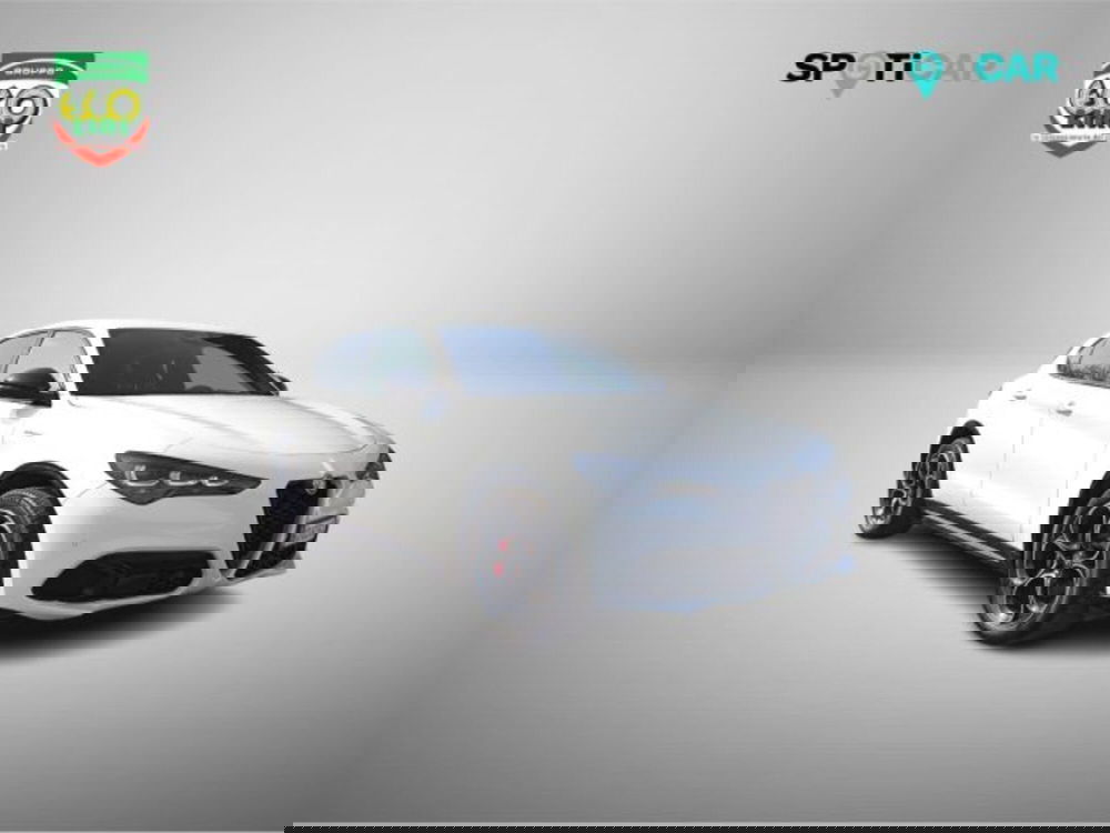 Alfa Romeo Stelvio usata a Frosinone (3)