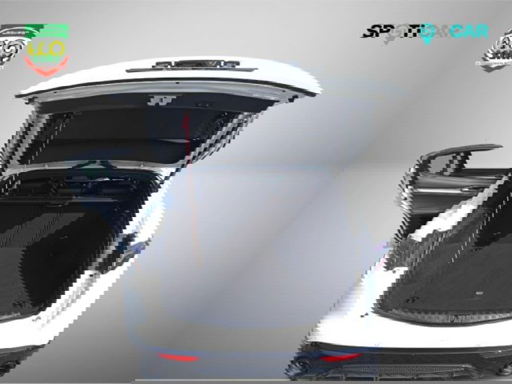 Alfa Romeo Stelvio usata a Frosinone (9)