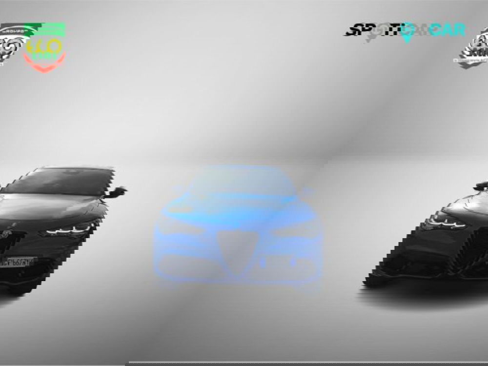 Alfa Romeo Stelvio usata a Frosinone (2)