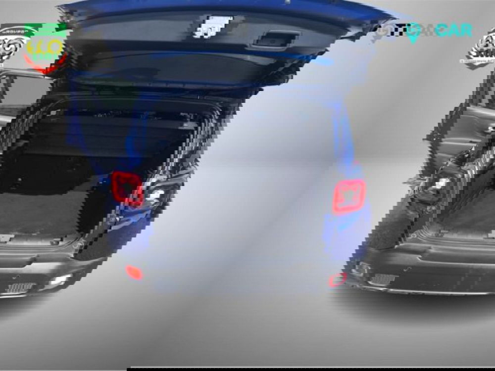 Jeep Renegade usata a Frosinone (20)