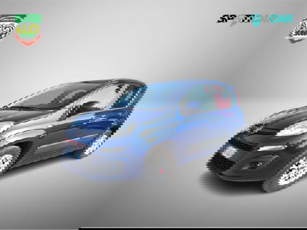 Fiat Panda usata a Frosinone