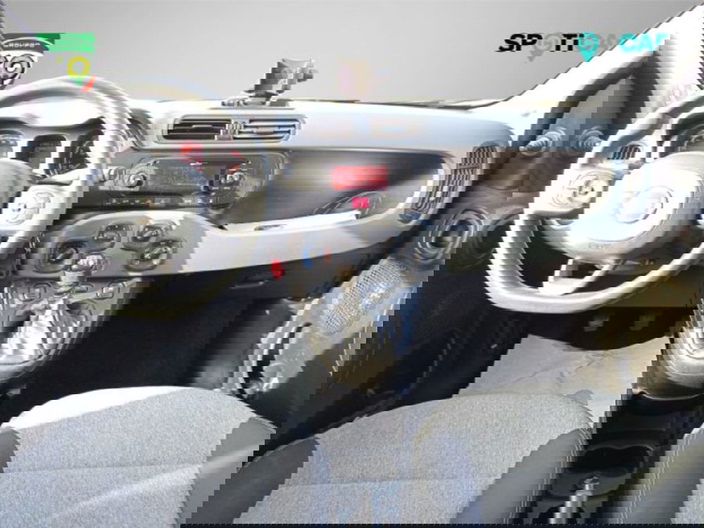 Fiat Panda usata a Frosinone (10)