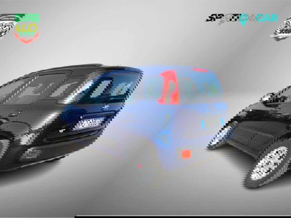 Fiat Panda usata a Frosinone (16)