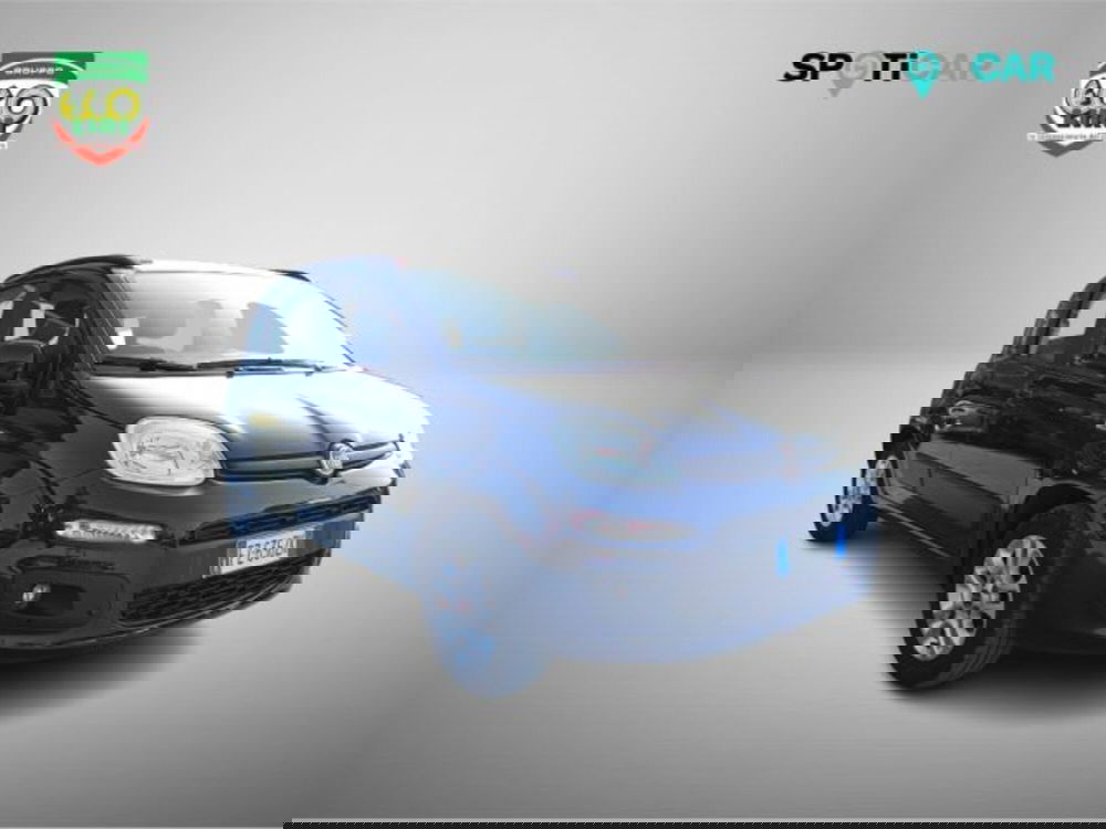 Fiat Panda usata a Frosinone (3)