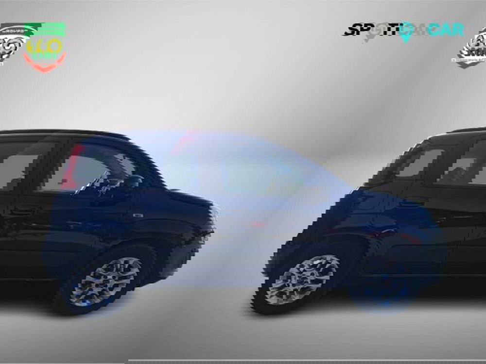 Fiat Panda usata a Frosinone (4)