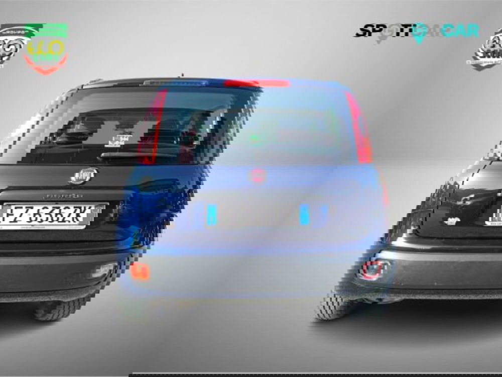 Fiat Panda usata a Frosinone (5)