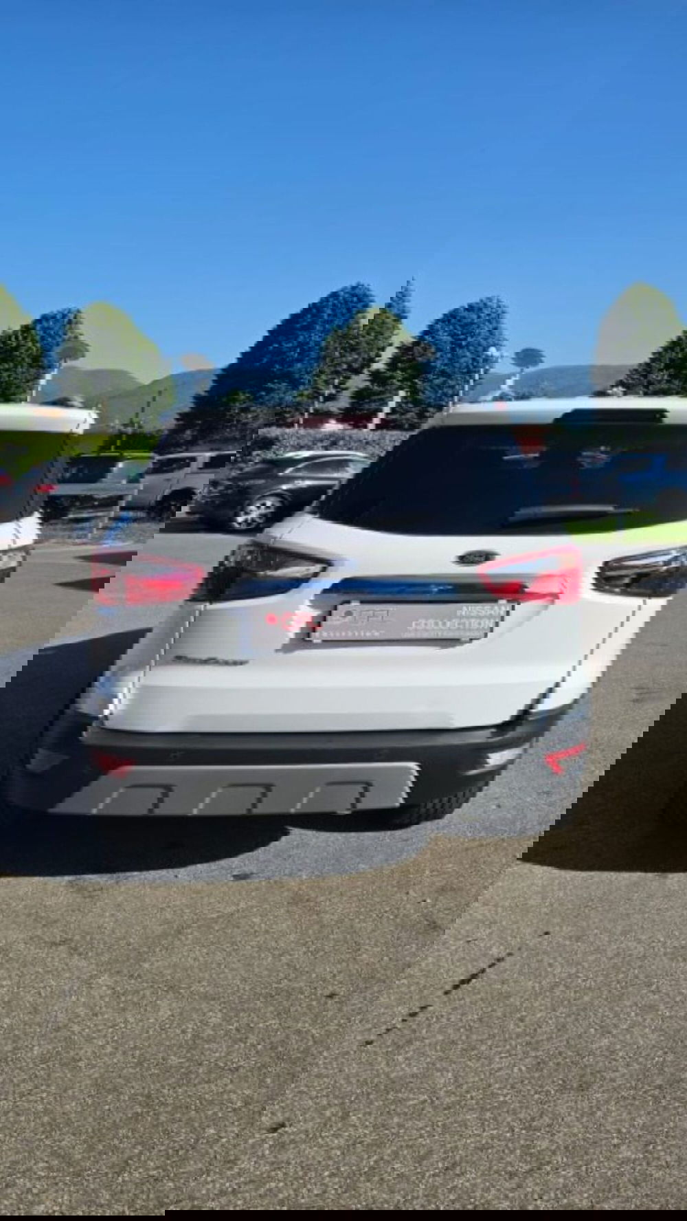 Ford EcoSport usata a Lucca (5)