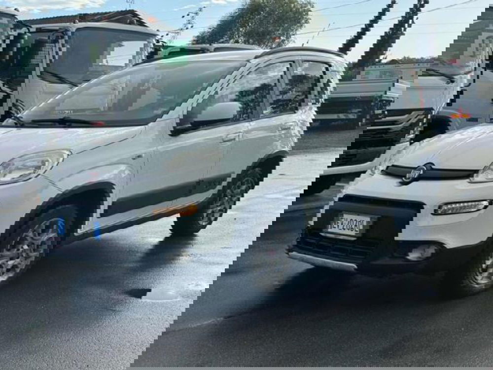 Fiat Panda usata a Lucca
