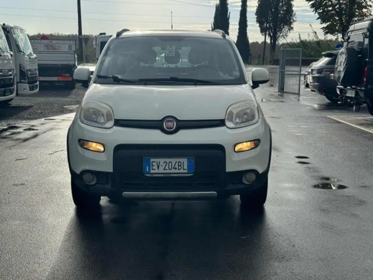 Fiat Panda usata a Lucca (2)