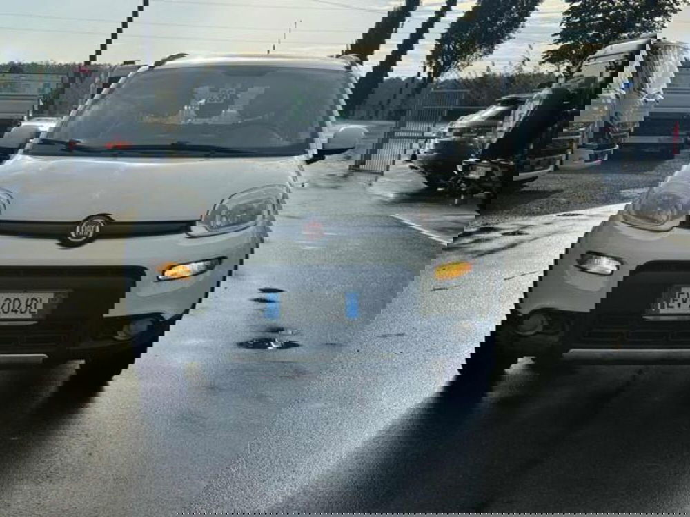 Fiat Panda usata a Lucca (2)