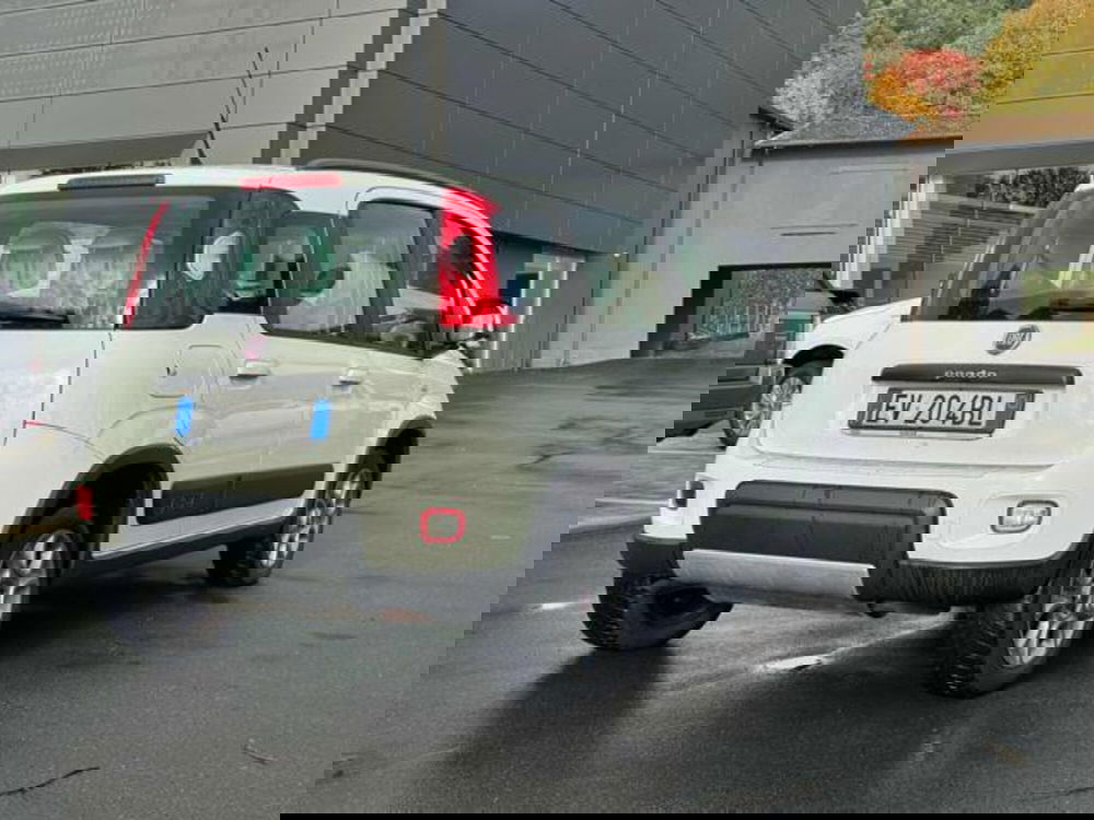 Fiat Panda usata a Lucca (4)