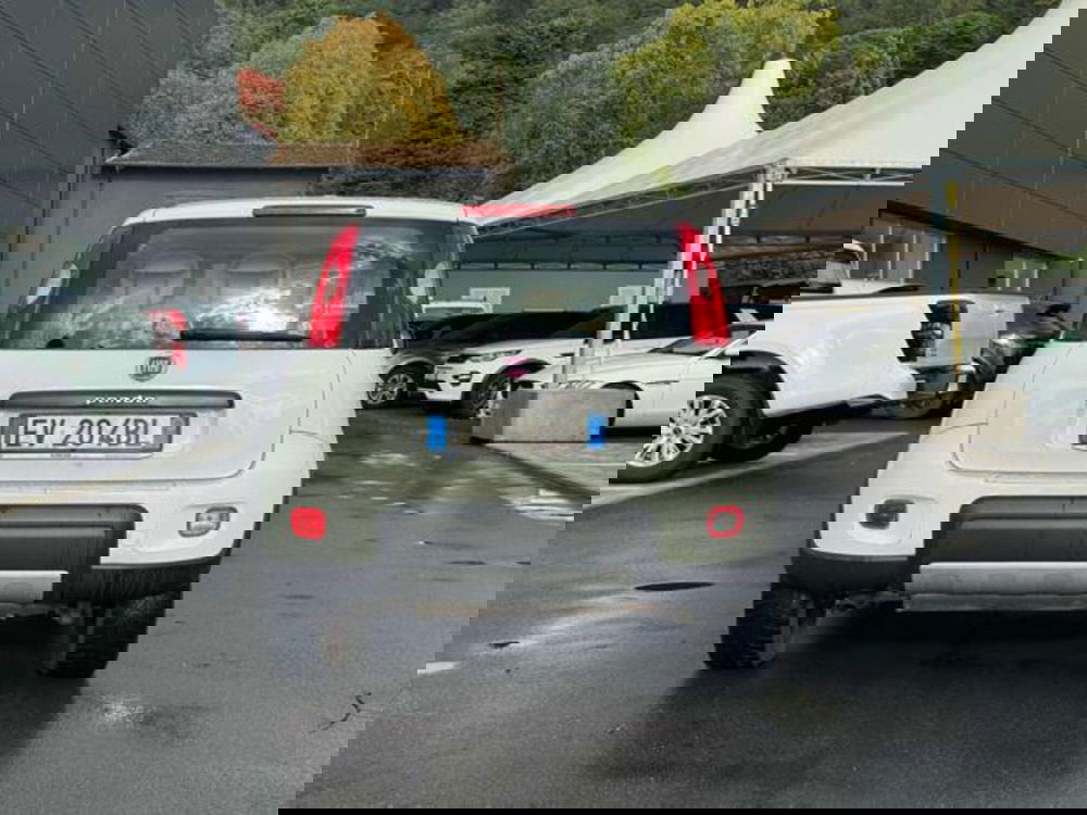 Fiat Panda usata a Lucca (5)