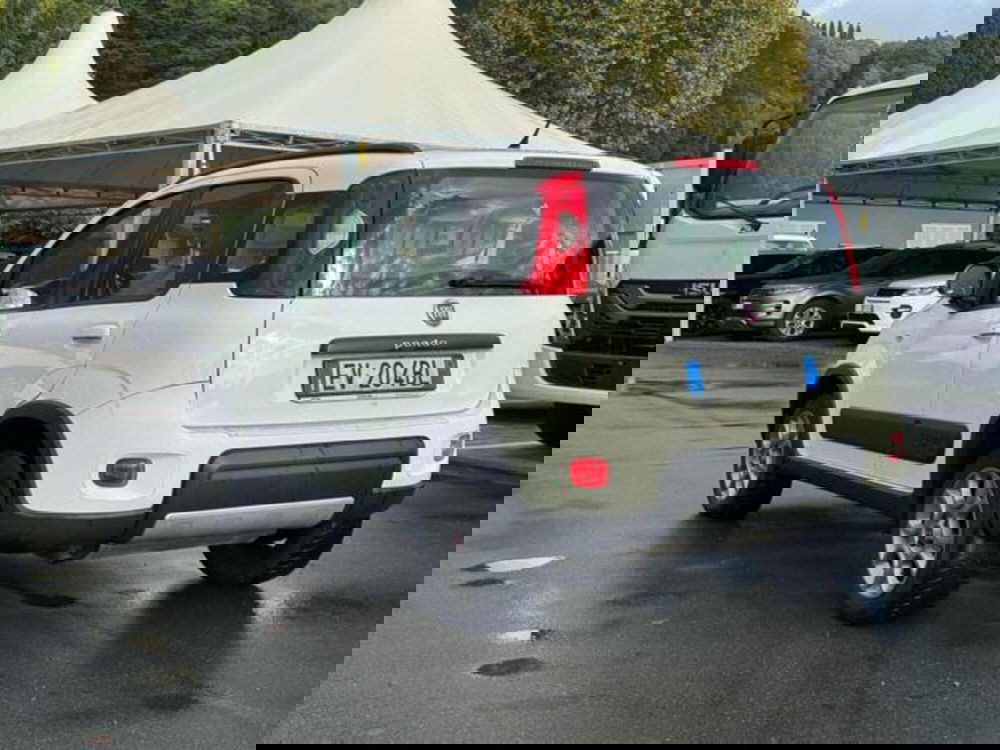 Fiat Panda usata a Lucca (6)