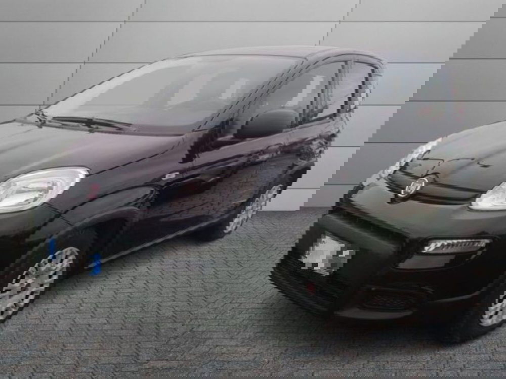 Fiat Panda usata a Roma (2)