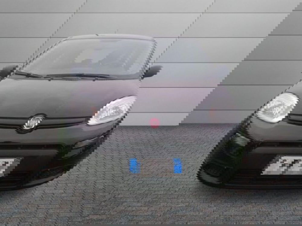 Fiat Panda usata a Roma