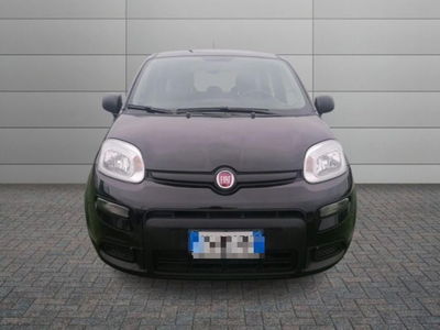 Fiat Panda 1.0 firefly hybrid s&amp;s 70cv 5p.ti del 2024 usata a Roma
