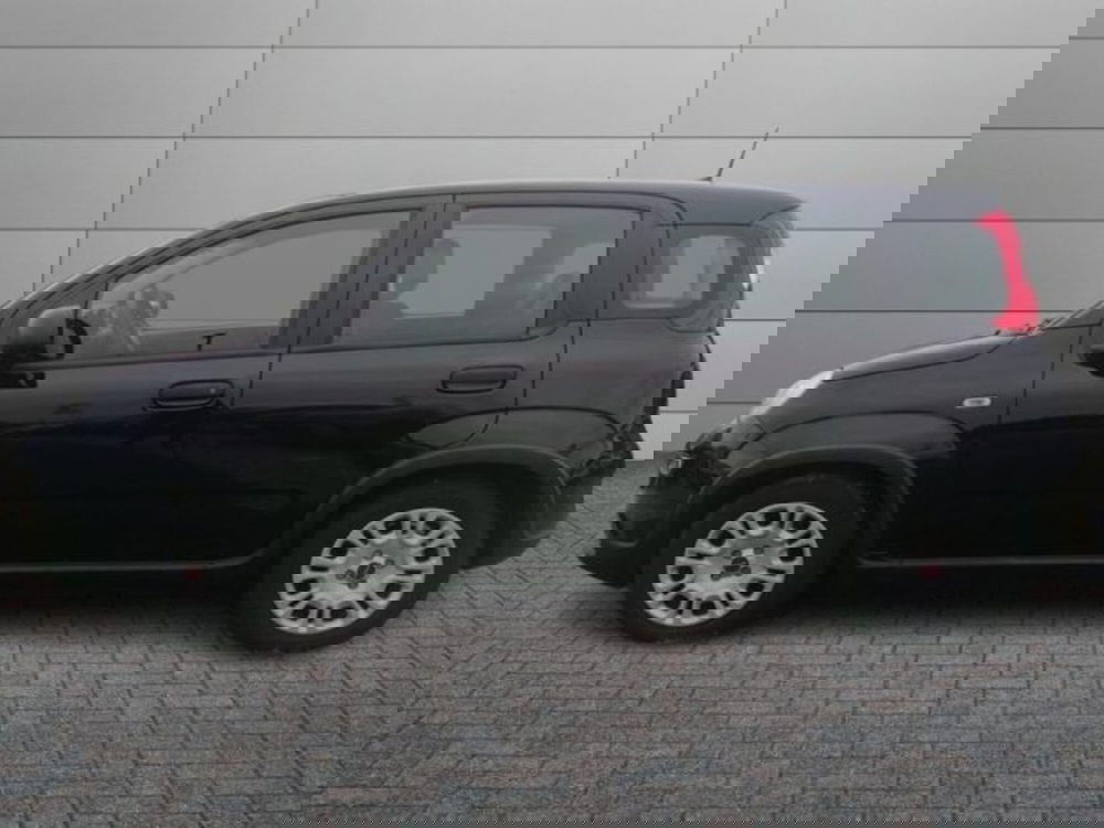 Fiat Panda usata a Roma (3)