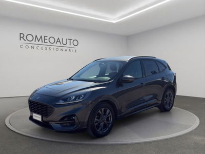 Ford Kuga 2.0 EcoBlue 120 CV aut. 2WD ST-Line X del 2023 usata a Gubbio