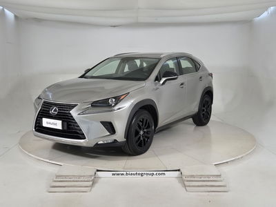 Lexus NX Hybrid 4WD Luxury del 2020 usata a Settimo Torinese