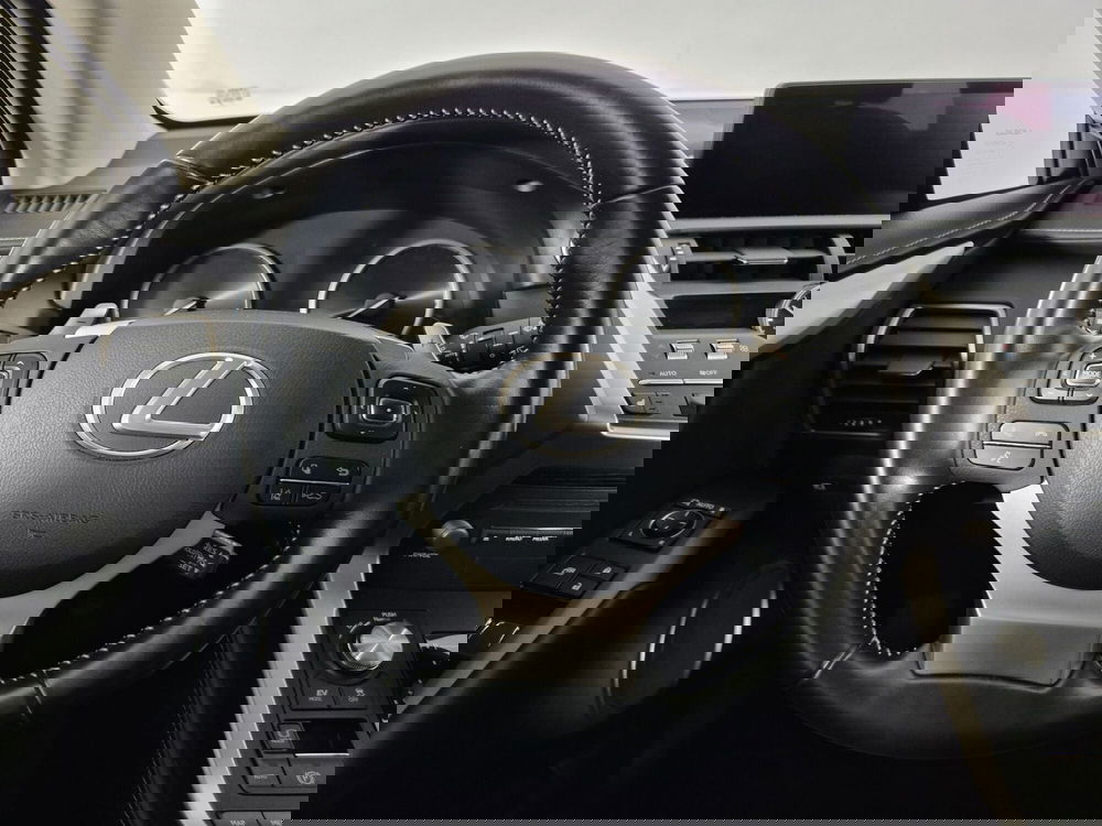 Lexus NX usata a Torino (10)