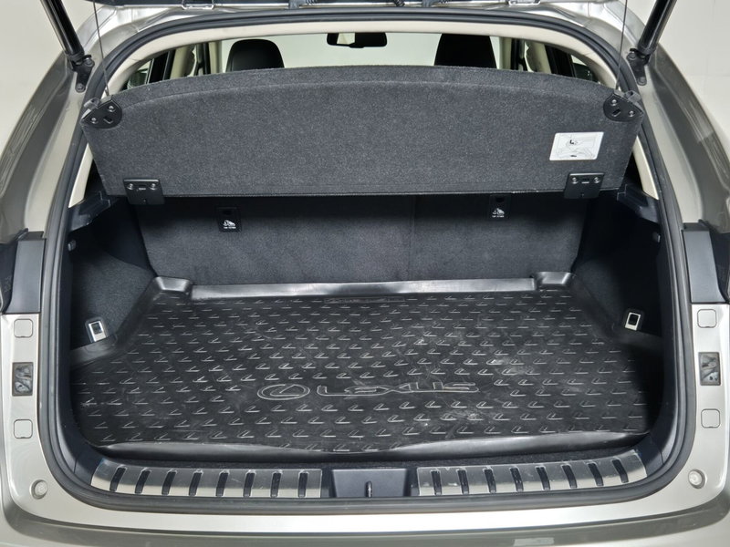 Lexus NX usata a Torino (13)