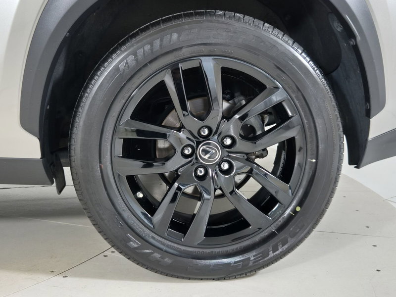 Lexus NX usata a Torino (14)