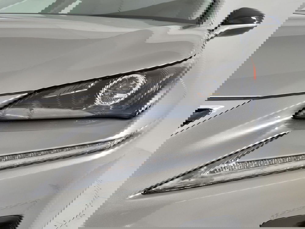 Lexus NX usata a Torino (19)