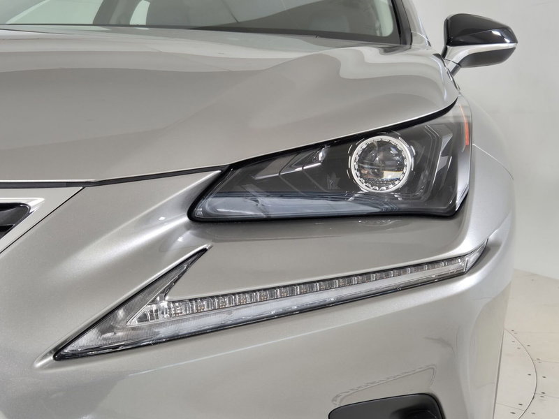Lexus NX usata a Torino (19)