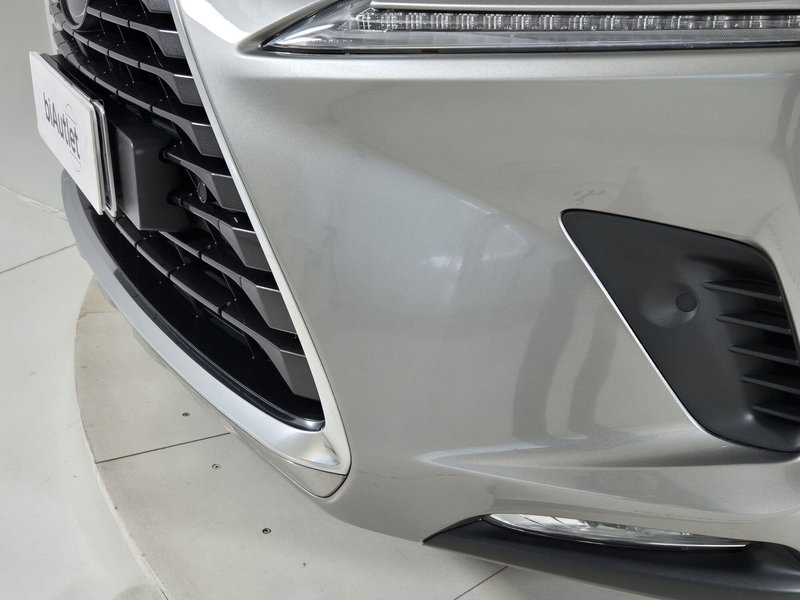 Lexus NX usata a Torino (20)