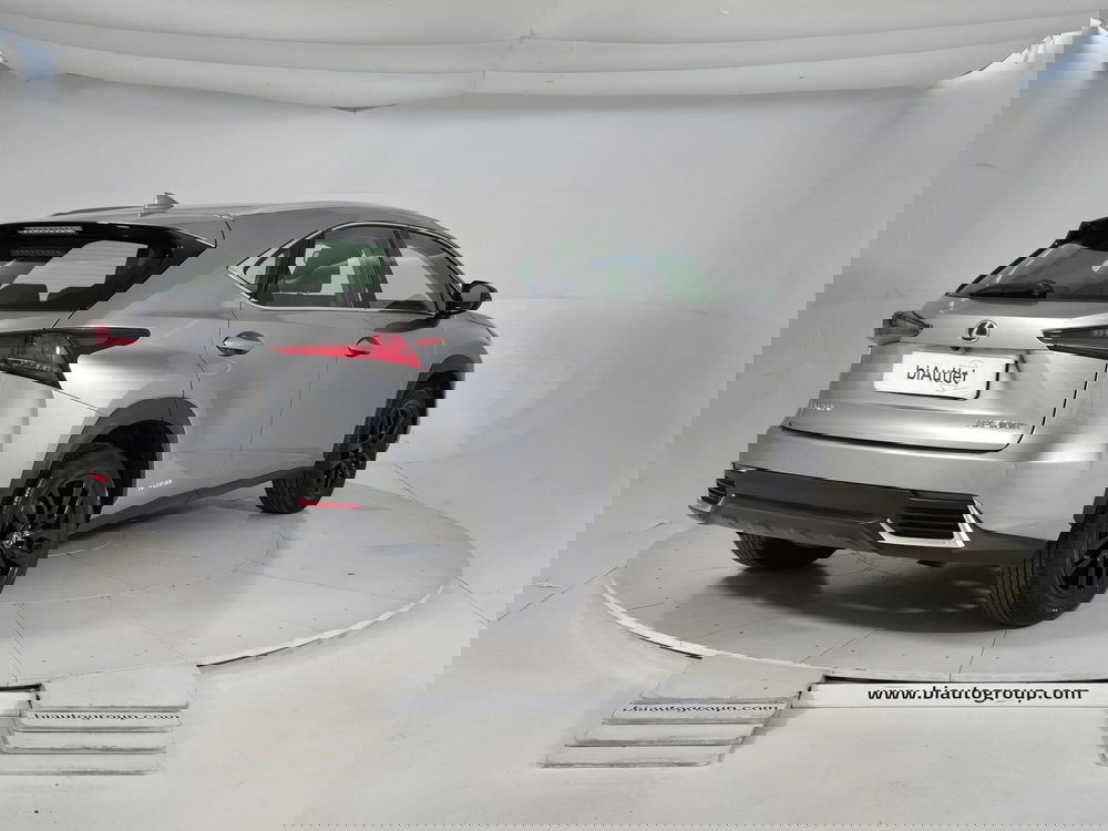 Lexus NX usata a Torino (4)