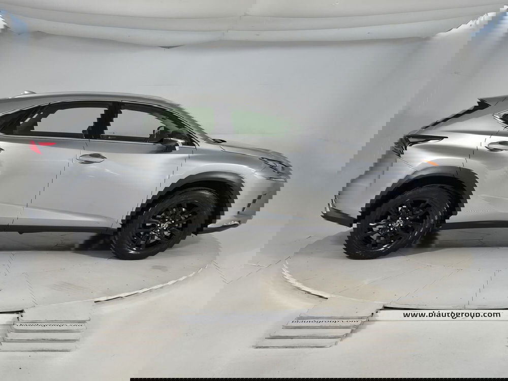 Lexus NX usata a Torino (5)