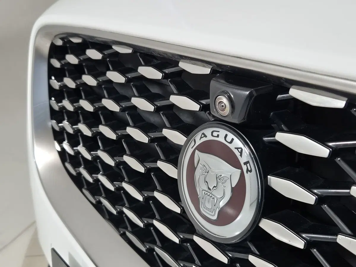 Jaguar E-Pace usata a Torino (16)